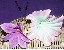 Seidenblume