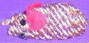 46118_thb.jpg