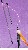 Spielangel mit Schnur