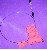 Vogelteaser  rot