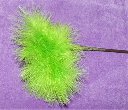 longfeatherteaser_thb.jpg
