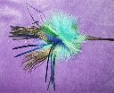 peacockfeatherteaser_thb.jpg
