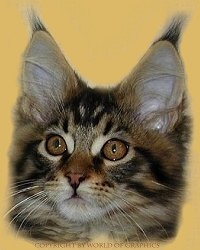 pwwsmartstorecheeky.jpg