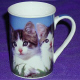 Schöne Katzentasse mit 2 brown tabby/ white Kätzch tassecasalingabrtabbywh_thb.jpg