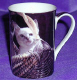 Tasse mit Katzenkörbchen tassecasalingakittenkorbvorderseite_thb.jpg